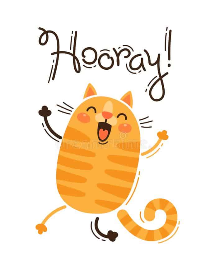 תודה שנרשמת השיטה ליצירת זוגיות מאושרת דן טימור